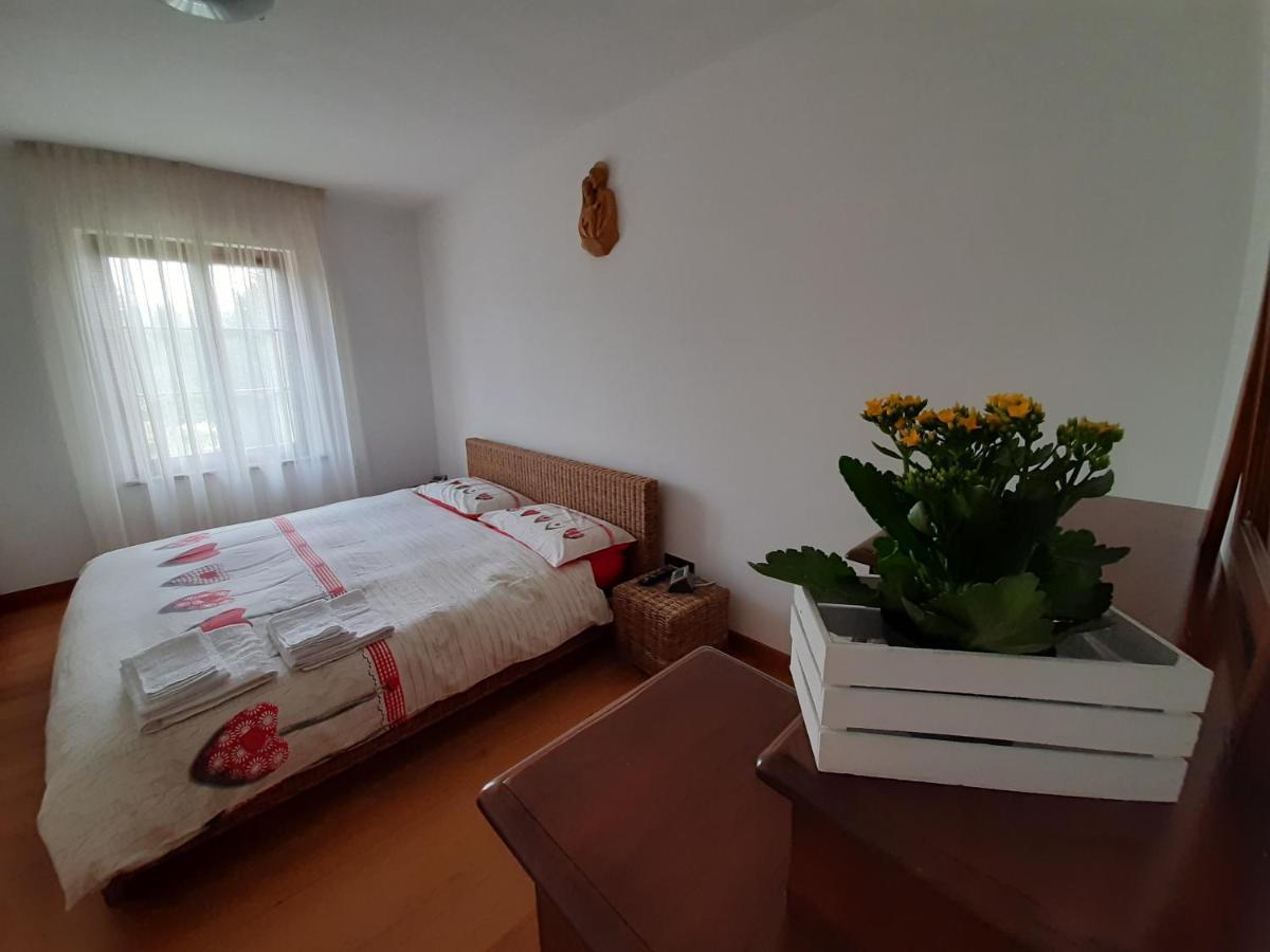 San Marcello Residence 费尔特雷 外观 照片
